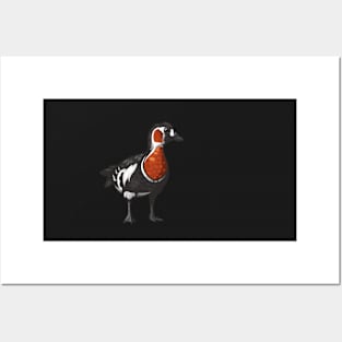 Red-Breasted Goose Posters and Art